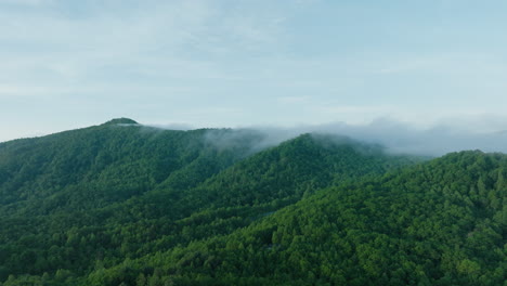 Forest-Covered-Mountains-fog---Aerial-Shot-stock-video