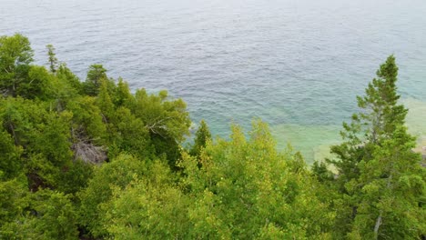 un exuberante bosque de pinos sobre montañas rocosas en la bahía de georgia, ontario, canadá