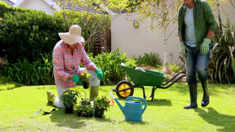 senior couple interacting with each other while gardening 4k