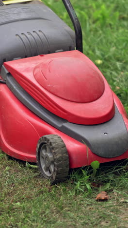 process of cutting grass in the garden. homeowner mowing green grass in the backyard by special mowing machine. vertical video
