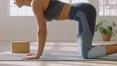 healthy yoga woman practicing cat cow pose enjoying fitness lifestyle exercising in studio stretching beautiful body training on exercise mat at sunrise