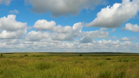 amplio campo abierto bajo un cielo nublado