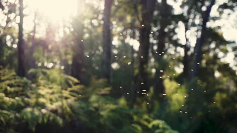 Tiny-bugs-floating-in-air,-sun-shines-through-green-forest-background