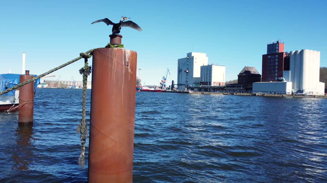 Bird perched on a rusty post in a harbor