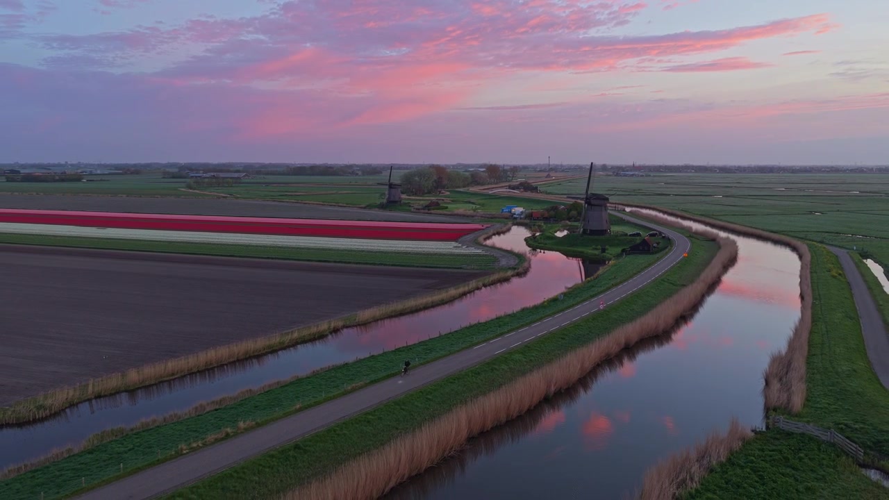 Paesaggio olandese mozzafiato con mulini a vento e campi di tulipani all'alba