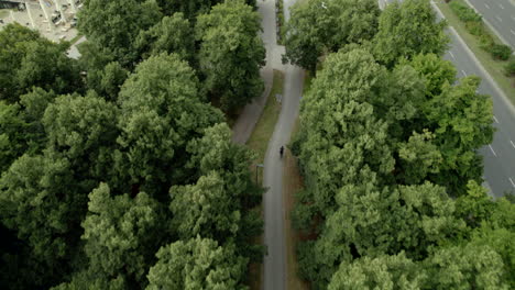 Aerial-top-down---Cyclist-moving-on-a-bike-path-between-green-trees