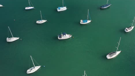 aerial view of yacht cub and marina on sunny day