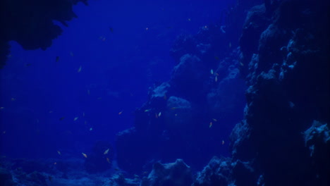 colorful underwater scene with coral and fish in a vibrant ocean setting