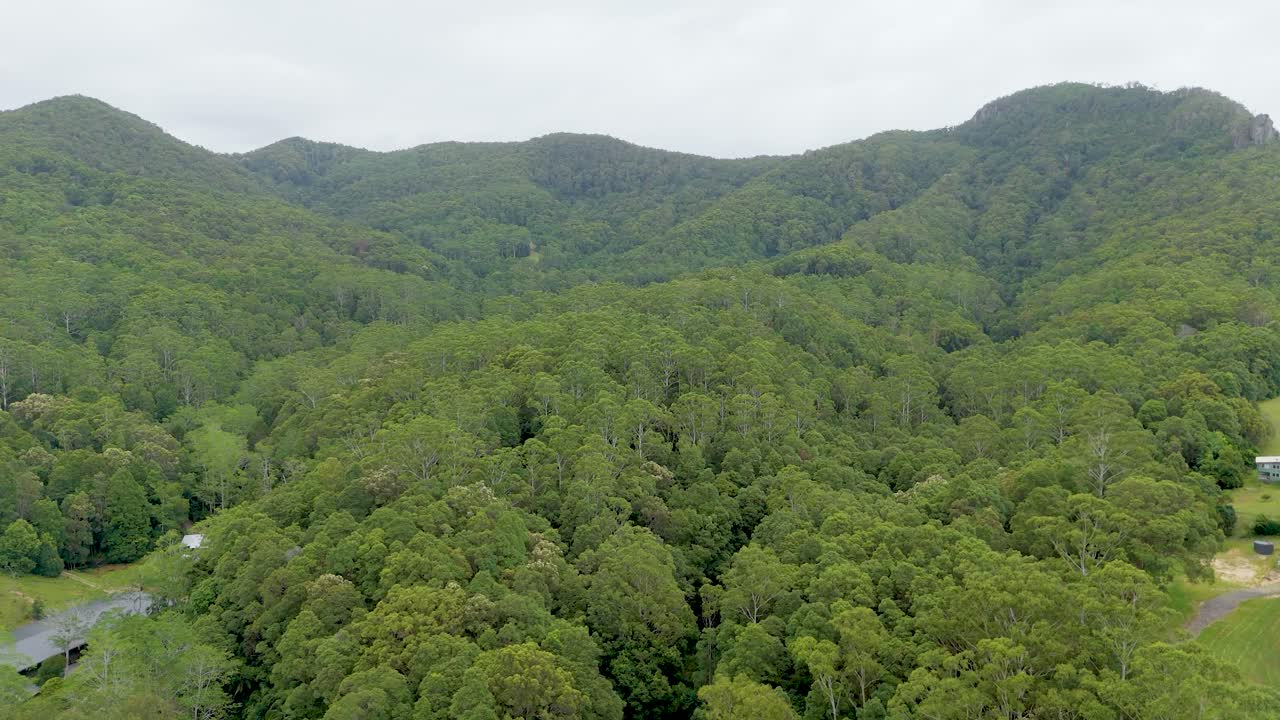 Drone footage captures expansive green forests and rolling hills under overcast skies in Tullebudgera, Gold Coast