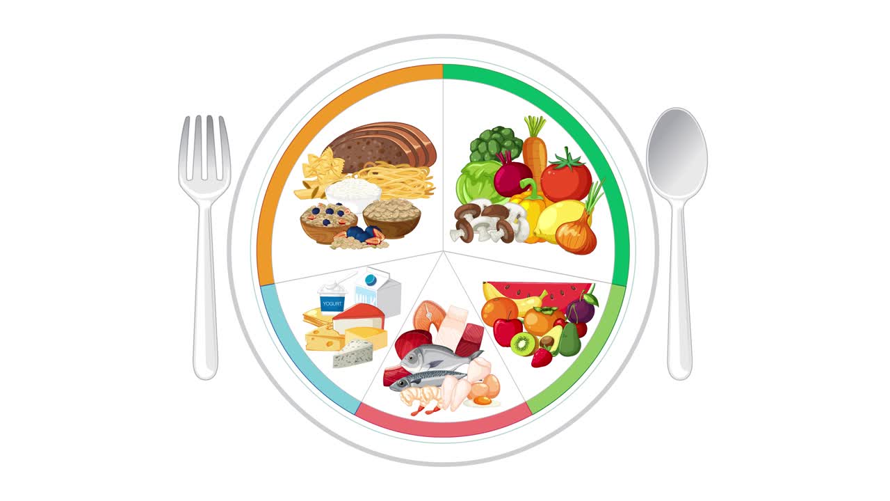 Colorful animation builds a balanced plate with grains, vegetables, proteins, dairy, utensils, and clear sections