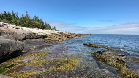 serene boothbay harbor oceanfront, waves rolling in through rocky seaweed covered coastline, stationary shot