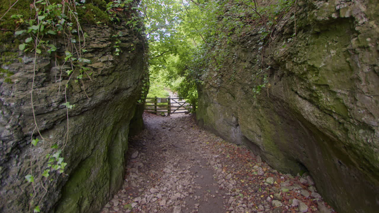 Narrow Rocky Path Through a Verdant Gully with Wooden Gate