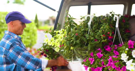 agricultor cargando el baúl de la furgoneta con plantas colgantes 1