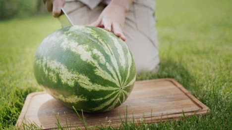 woman cuts a piece from a watermelon at a picnic