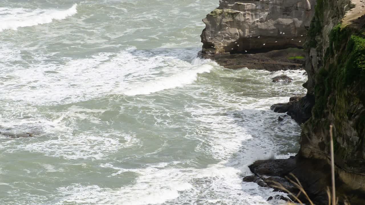 gran bandada de pájaros volando entre los altos acantilados en muriwai, nueva zelanda