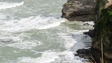 Large-flock-of-birds-flying-in-between-the-tall-cliffs-in-Muriwai,-New-Zealand