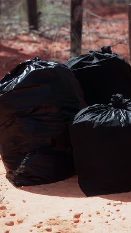 black garbage bags on the ground