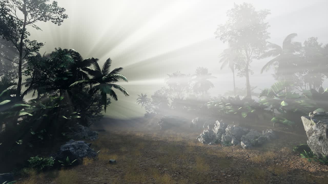 ⁇ 나무 를 가로지르는 해 가 지는 광선