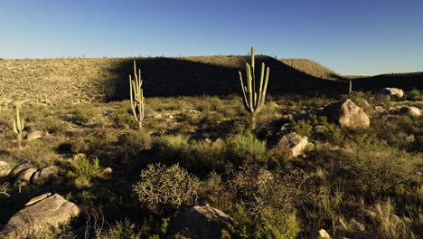 vues aériennes capturant le paysage du désert de sonora