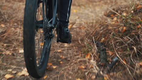 wheels and pedaling close up