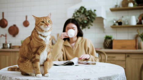 woman and cat in the kitchen