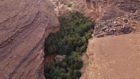 drone shot of a beautiful desert oasis in terjit, mauritania