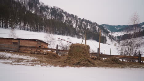 Schafstall-Mit-Holzzaun-Und-Heuhaufen-Vom-Fenster-Aus-Gesehen