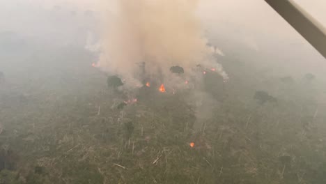 mirando desde un helicóptero el paisaje en llamas de la selva amazónica