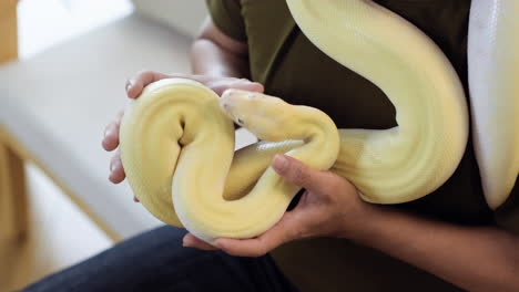 homme avec serpent à l'intérieur