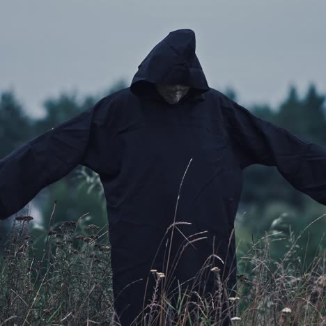 ominous hooded figure in a field