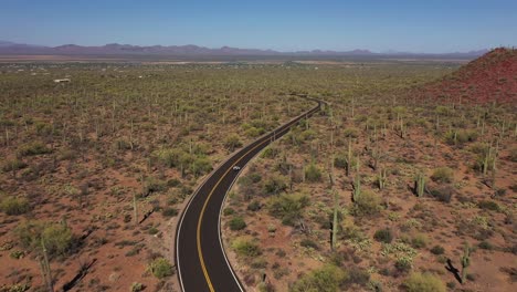 aerial of a motorcycle on a desert highway road with saguaro cactus all around 1