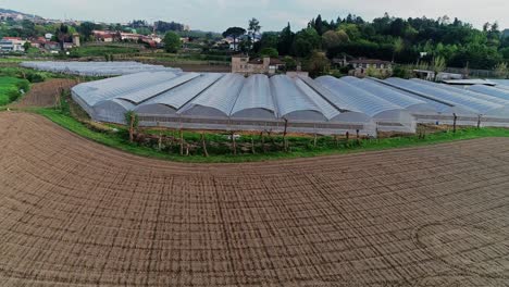 Aerial-view-of-organized-complex-of-greenhouses-and-rural-fields