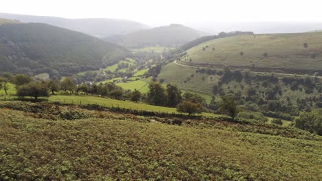 Aerial-view-idyllic-vast-lush-green-rural-misty-mountain-valley-countryside-parallax-right-low