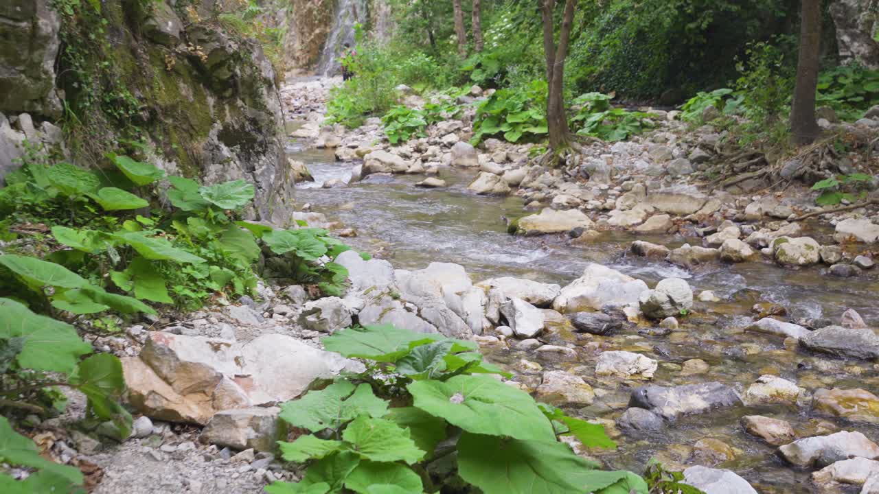 Arroyo y bosque a través de los ojos de la persona