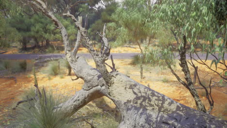 paisaje natural con un árbol caído a lo largo de un camino de tierra en un entorno soleado