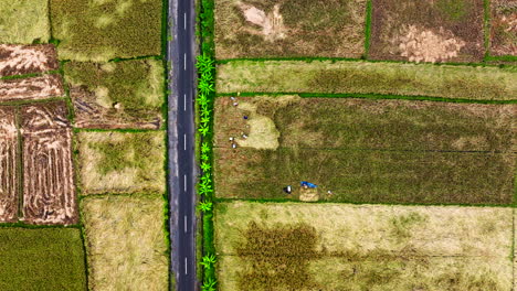 Birdseye-view,-fields-of-fresh-crop-bales,-farm-workers,-transport-highway