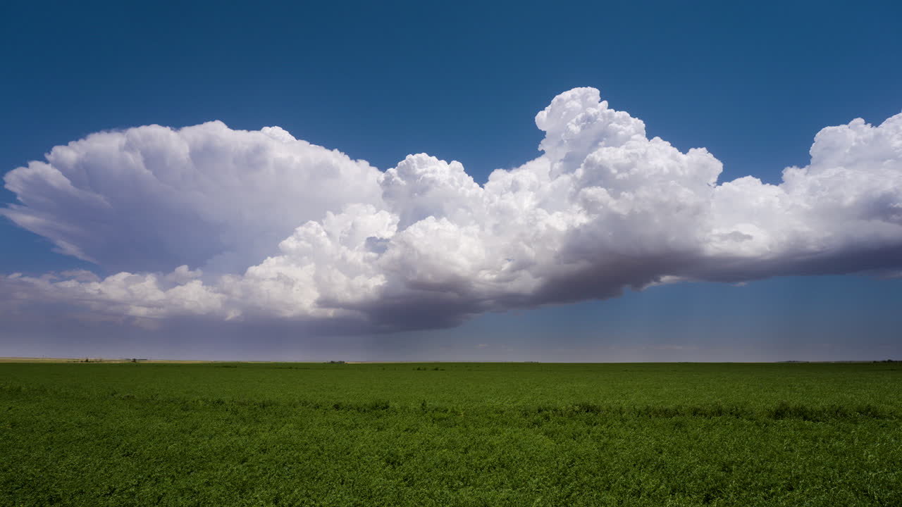 Vast Field Under Dramatic Cloudscape