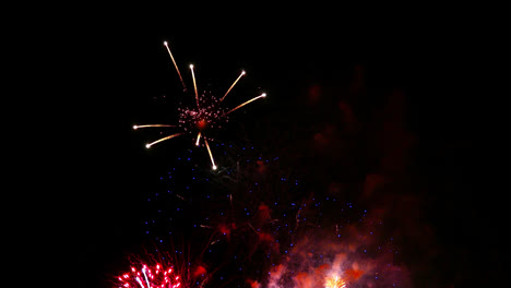 hermosa celebración abstracto colorido espectáculo de fuegos artificiales en el fondo de la noche