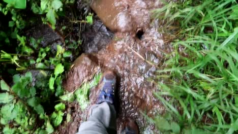 caminando por un estrecho camino inundado de barro que cubre los zapatos para caminar