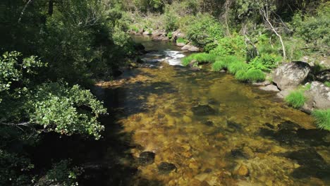 stream rushing on a rocky river of río lérez in pontevedra, spain