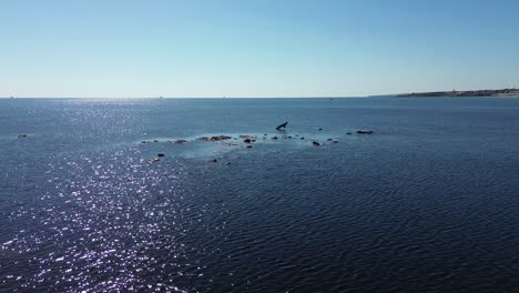 metal parts of an old ship wreck poking out of calm sea