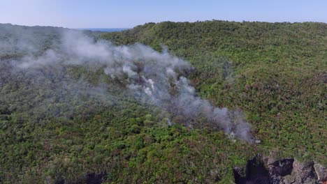 nubes de humo, incendios forestales en la república dominicana, órbita aérea