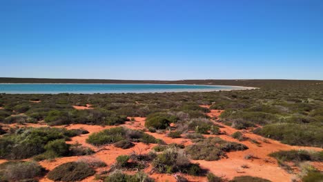 pequeña laguna que irradia su agua azul vibrante en dinamarca, australia occidental