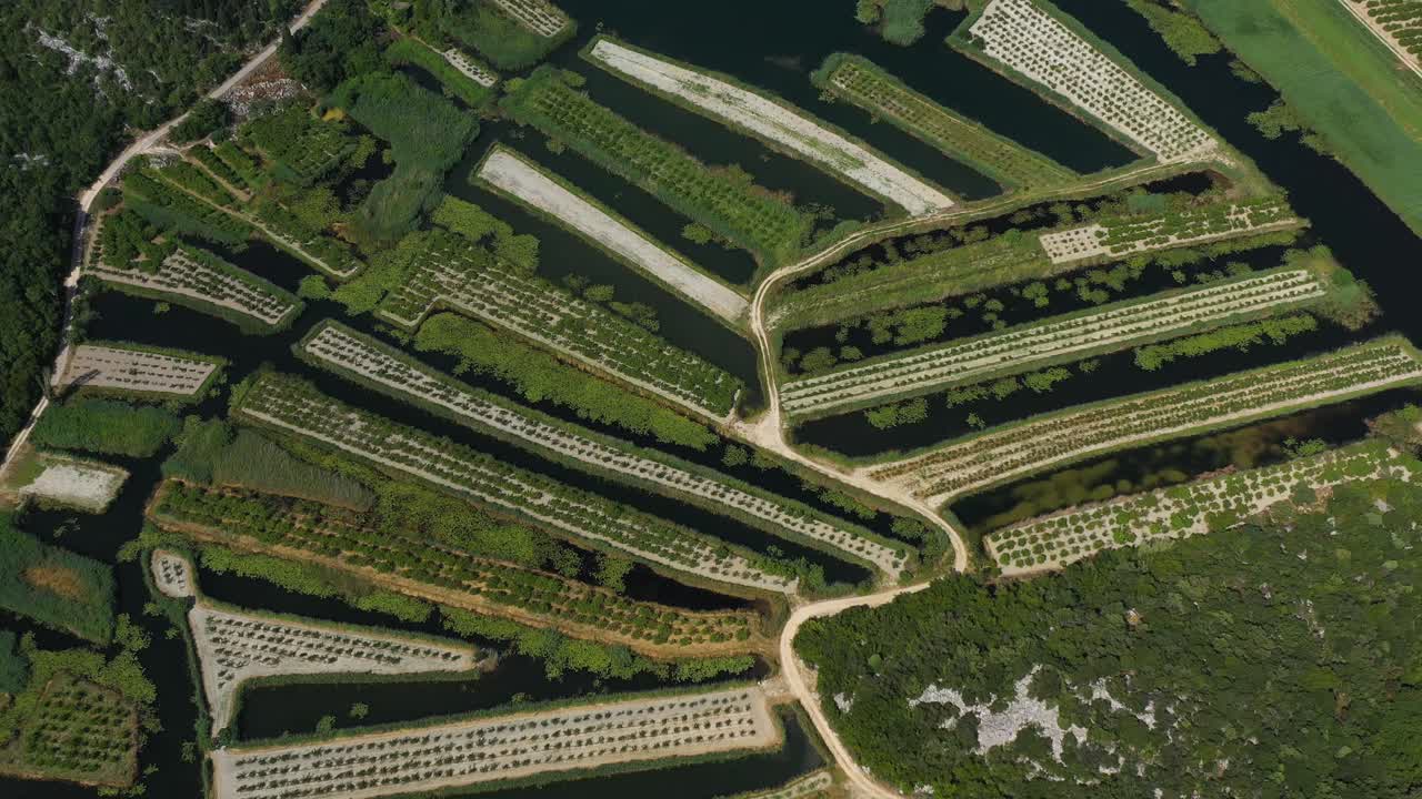 Neretva Valley, flying over Agriculture Plantation Fields in Delta of River Neretva in South Croatia - Aerial Drone View