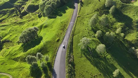 white van driving between green country side in new zealand on a suny day