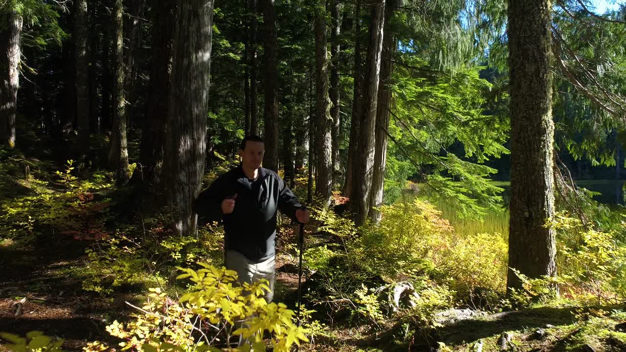 개 는 빛 이 있는 초록색 숲 길 에서 하이킹 스 을 들고 있는 남성 카우카시안 남자 를 따라간다