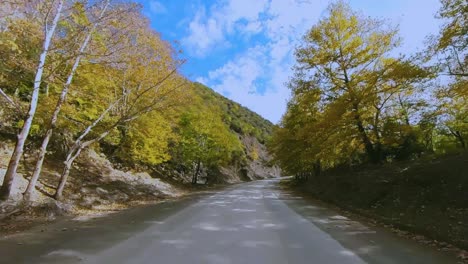 자동차 운전