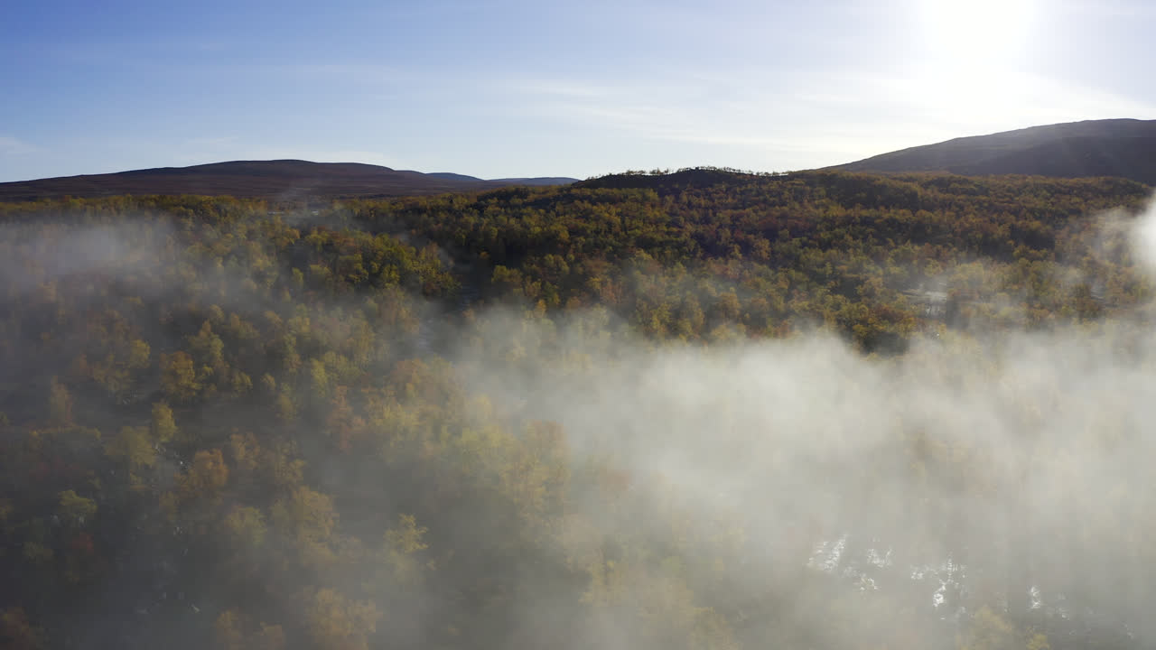 단풍으로 가득한 안개와 안개가 자욱한 숲 위를 날다
