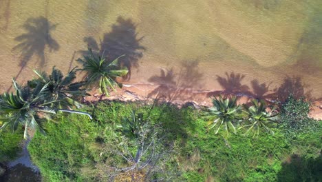 stream-flows-into-the-sea-palm-beach-Great-aerial-view-flight-natural-sand-beach-Koh-chang-island-Thailand-sunny-day-2022