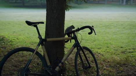 A-curious-squirrel-tries-to-understand-what-a-bike-is---04